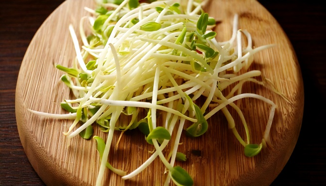 salade de germe de haricot mungo a la coréenne
